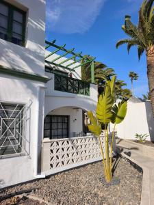 a white house with a palm tree in front of it at Santa Úrsula 66 in Costa Calma
