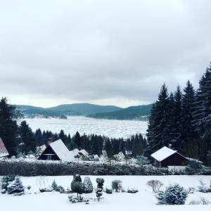 Fotografia z galérie ubytovania Lesní pension v destinácii Lipno nad Vltavou