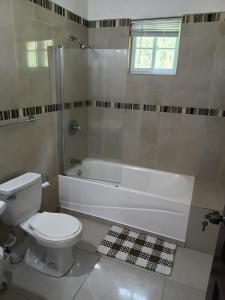 a bathroom with a toilet and a tub and a sink at Gorgeous One Bedroom Apartment in Kingston +48 photos
