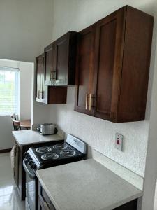 a kitchen with a stove and wooden cabinets at Gorgeous One Bedroom Apartment in Kingston