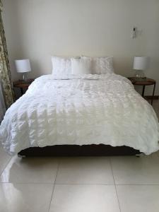 a white bed with pillows and a white comforter at Gorgeous One Bedroom Apartment in Kingston
