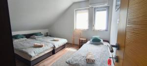 a small bedroom with two beds and two windows at Rigófészek Apartmanház in Gárdony +99 photos