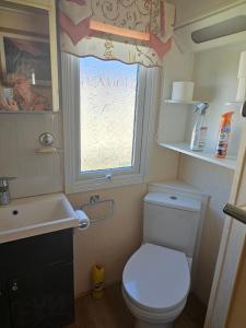 a small bathroom with a toilet and a window at Bella in Skegness +10 photos