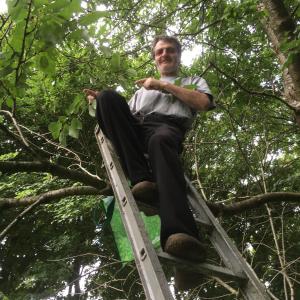 Ellekær-Gård في Dronninglund: رجل يجلس على سلم في شجرة
