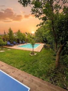 a swimming pool in a yard with a tree at Villa Hermes in Potamós
