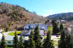 a town with houses and trees and a mountain at WaldLoft in Todtmoos