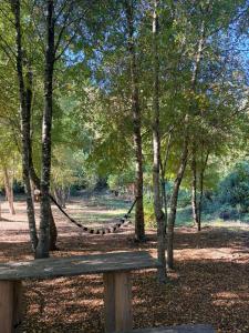 a wooden bench in a park with trees at Refugio El Rocio lodge tinaja,piscina,bosque in Nacimiento