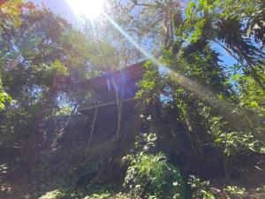 a house in the woods with the sun shining through the trees at Blue Palm Bed & Breakfast in Barrio Jesús