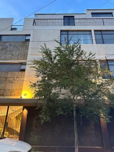 a building with a tree in front of it at Casa Elisa - Expiatorio in Guadalajara