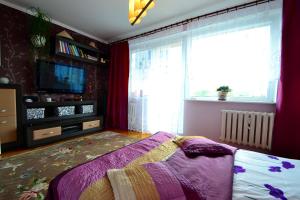 a bedroom with a bed and a tv and a window at Sopot apartament z widokiem na Morze in Sopot