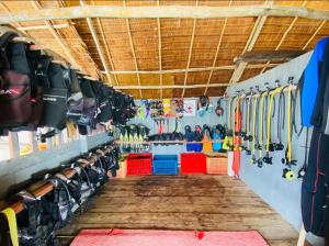 a room with skis and snowboards on the wall at Warahnus dive homestay in Kri