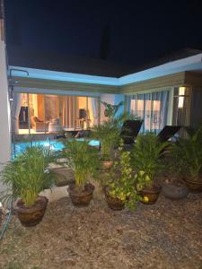 a group of potted plants in a yard at night at Golden Villa in Ko Phangan