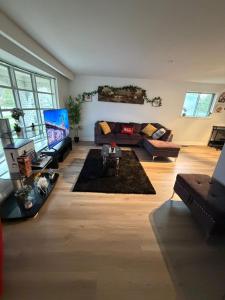 a living room with a couch and a tv at Luxury Fun Villa in Toronto