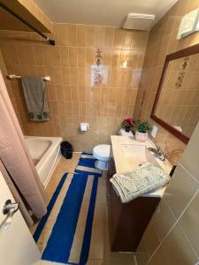 a bathroom with a tub and a toilet and a sink at Luxury Fun Villa in Toronto +63 photos