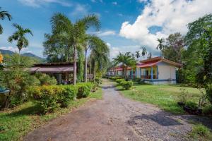 a dirt road in front of a house with palm trees at Baanklongkok in Ban Map Khangkhao