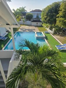 a swimming pool with a palm tree in front of a house at Sea Shell Palms, Ocho Rios in Ocho Rios