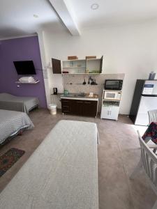 a large room with a kitchen with purple walls at Josefina l in Goya