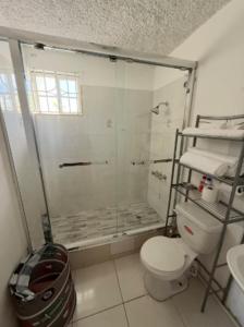 a bathroom with a shower and a toilet at Oceanview Retreat - 3 bedroom in Bull Bay +23 photos