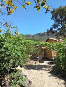 a house with a fence in front of it at Casa Baunilha in Cavalcante