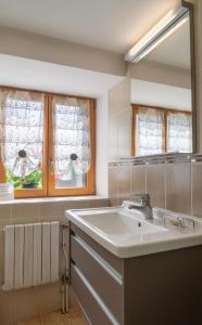 a bathroom with a sink and a mirror at Gîte de montchamp in Arzenc-dʼApcher