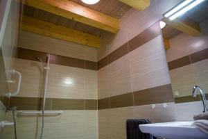 a bathroom with a shower and a sink at La maison de clémence 6 personnes in Mialanes +43 photos