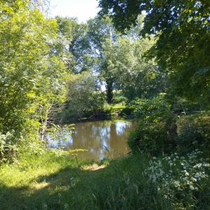 a pond in a park with trees and a field at Studio Indépendant au calme in Cugand