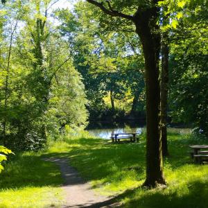 a park with a bench next to a lake at Studio Indépendant au calme in Cugand