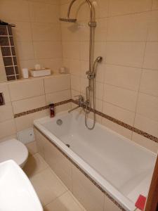 a bathroom with a tub with a shower and a toilet at E-Brechta in Warsaw +7 photos