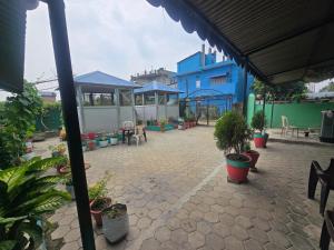 a patio with potted plants and a blue building at Jhapali Hotel and lodge in Simra