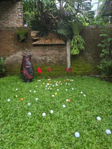 a field of white balls in the grass with a backpack at AgaLiving Medewi in Pulukan +86 photos