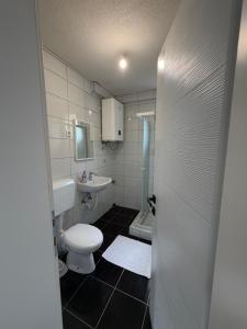 a bathroom with a white toilet and a sink at Aqua apartment in Gornji Ribnik +4 photos
