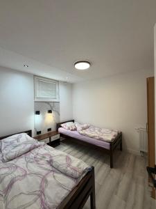 a room with two beds and a lamp in it at Aqua apartment in Gornji Ribnik