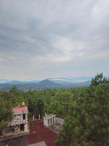 an aerial view of a house in the woods at CABAÑAS SANAMBO fraccionamiento los gallos in Balastre Rojo