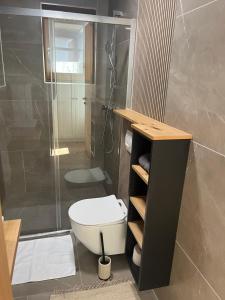 a bathroom with a toilet and a shower at Apartmaji pri Mojci in Podvelka