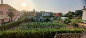 a garden with a bunch of vegetables at Abate Appartament in Correzzola