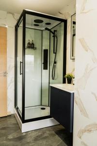 a bathroom with a glass shower and a sink at Naktsmītne - Fišers in Viesīte +24 photos