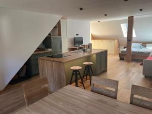 a kitchen and living room with a counter and a room at Apartmaji pri Mojci in Podvelka