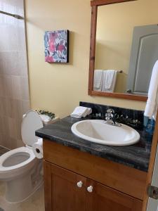 a bathroom with a sink and a toilet and a mirror at Silver Dollar Tree in Kealakekua +8 photos