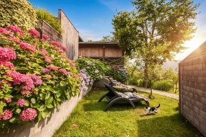 a cat sitting on the grass next to a bench at Glamping Kranjc in Kobarid