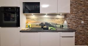 a kitchen with a sink and a painting on the wall at Ferienwohnung Zum Gartenparadies in Oppach +20 photos