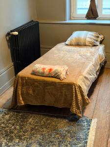 a bed with two pillows on it in a room at Gengoult 1 in Toul