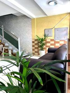 a living room with a couch and some plants at Hotel Independência Executive in Goiânia
