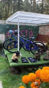 ein blaues Fahrrad, das unter einem weißen Vordach geparkt ist in der Unterkunft Chalet MQSTO in La Cañada + 18 Fotos
