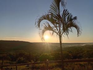 a palm tree with the sunset in the background at NGEBE Lodge jozini in Jozini