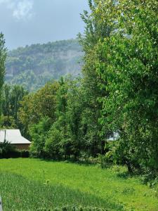 a field with trees and a house in the distance at Arslanbob guest house Mamajanov in Arslanbob