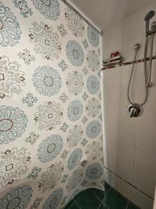 a bathroom with a shower with a shower curtain at Appartment Casa Verde in Lübberstedt +15 photos