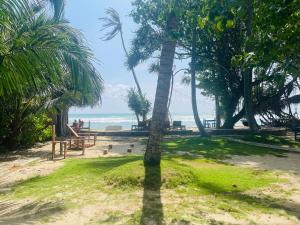a palm tree casts a shadow on a beach at Villa Flamingo in Ahangama
