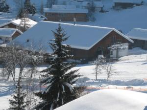 Gallery image of Apartmenthaus Immler in Gaschurn +31 photos