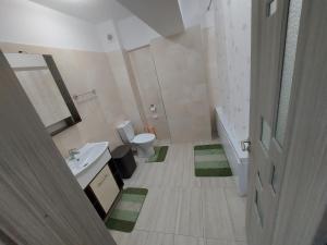 a bathroom with a toilet and a sink with green mats at Apartament Dem Radulescu Bloc nou! in Râmnicu Vâlcea
