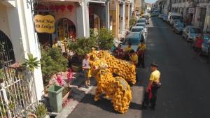 a group of people standing on a street with a group of animals at Betel Nut Lodge in George Town